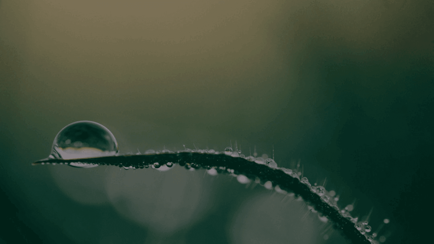 风格重混与 AI 人声：怎么选