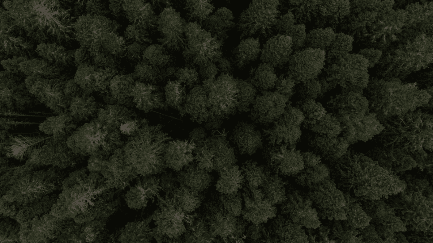 写好提示词，让 AI 歌曲更靠谱